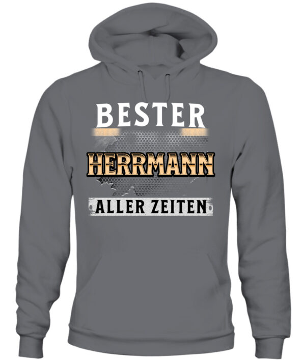 Herrmann – Bild 9