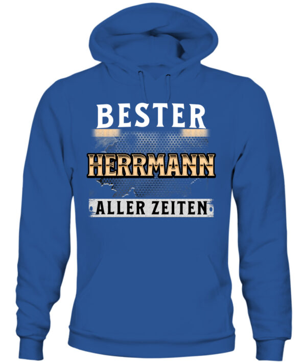 Herrmann – Bild 10